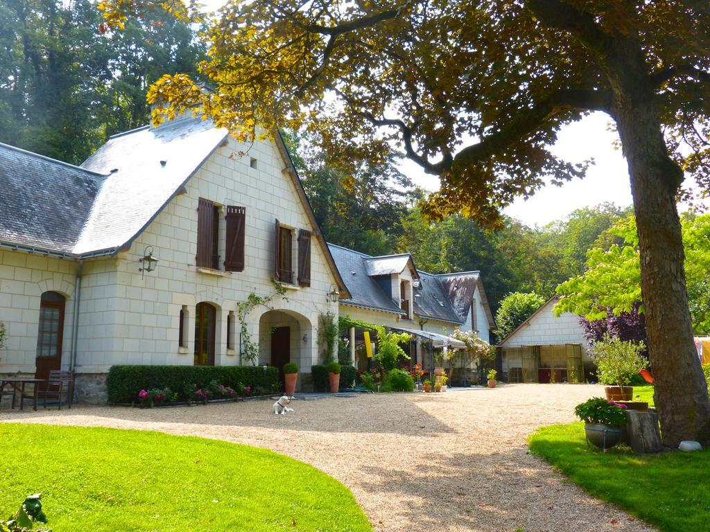 Domaine de Joreau Gennes-Val-de-Loire Exterior foto