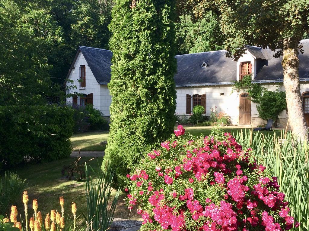 Domaine de Joreau Gennes-Val-de-Loire Exterior foto